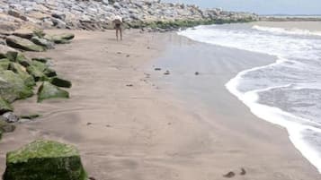 Room, 1 Bedroom, Accessible, Smoking | Beach