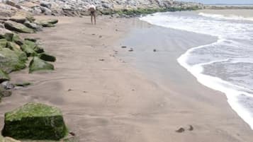 Room, 1 Bedroom, Accessible, Smoking | Beach