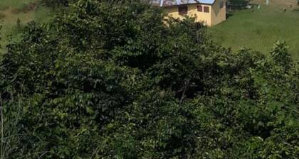 Room-special Place For Special People -