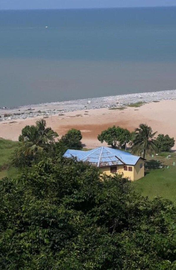 A coastal view with a beach, a small house with a blue roof, and palm trees.