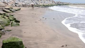 Room, 1 Bedroom, Accessible, Smoking | Beach