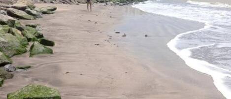 Chambre, 1 chambre, accessible aux personnes à mobilité réduite, fumeurs | Plage