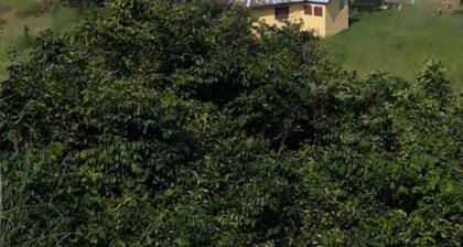 Room in Guest Room - Special Place For Special People - Room 8