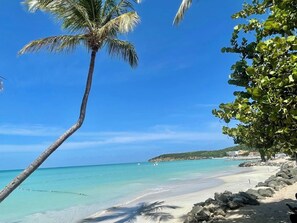 Une plage à l’eau turquoise et limpide, un palmier et une côte rocheuse.