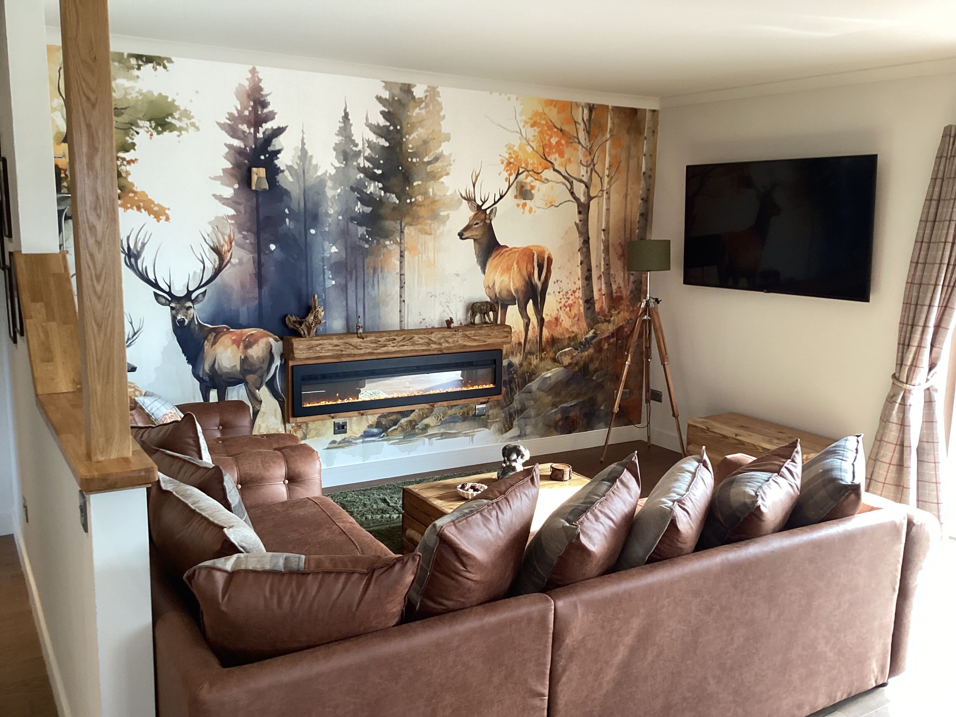 Smart TV, fireplace, books