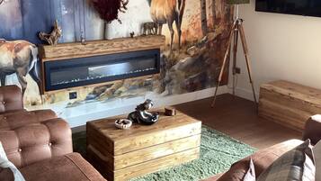 TV connectée, cheminée, livres