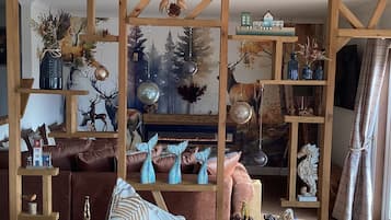 TV connectée, cheminée, livres