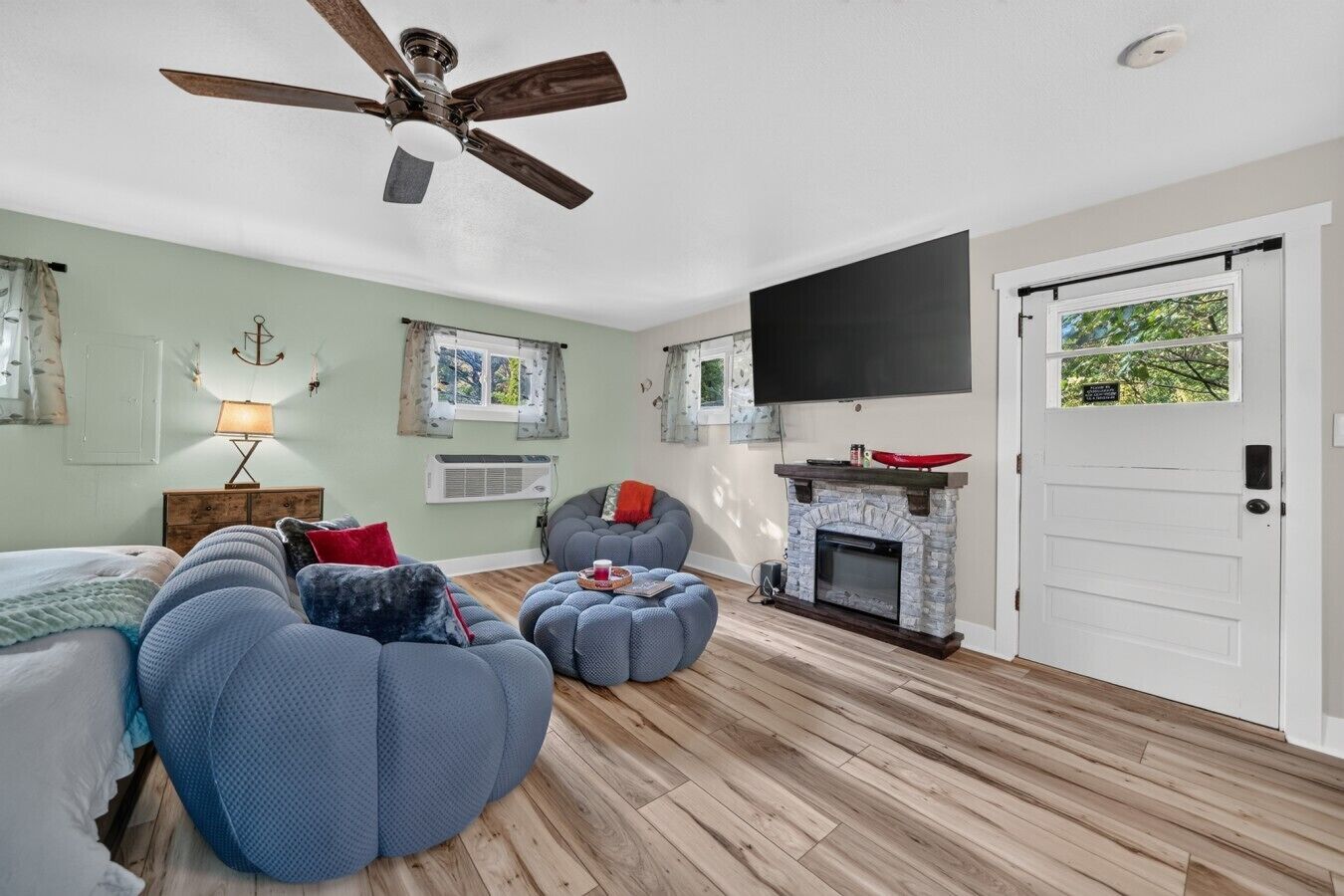 Smart TV, fireplace, books