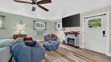 Smart TV, fireplace, books