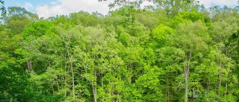 Utsikt fra overnattingsstedet