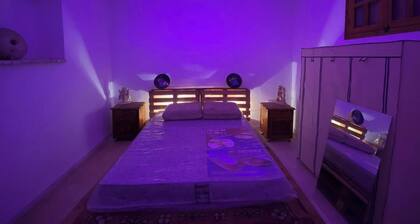 Oasis house