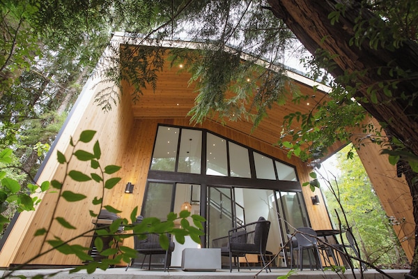 Back firepit area with comfy seating