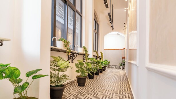 A hallway with potted plants on either side, a patterned floor, and a view of a room with a large window. - U by Z Hotels, Seshadripuram (Bengaluru)