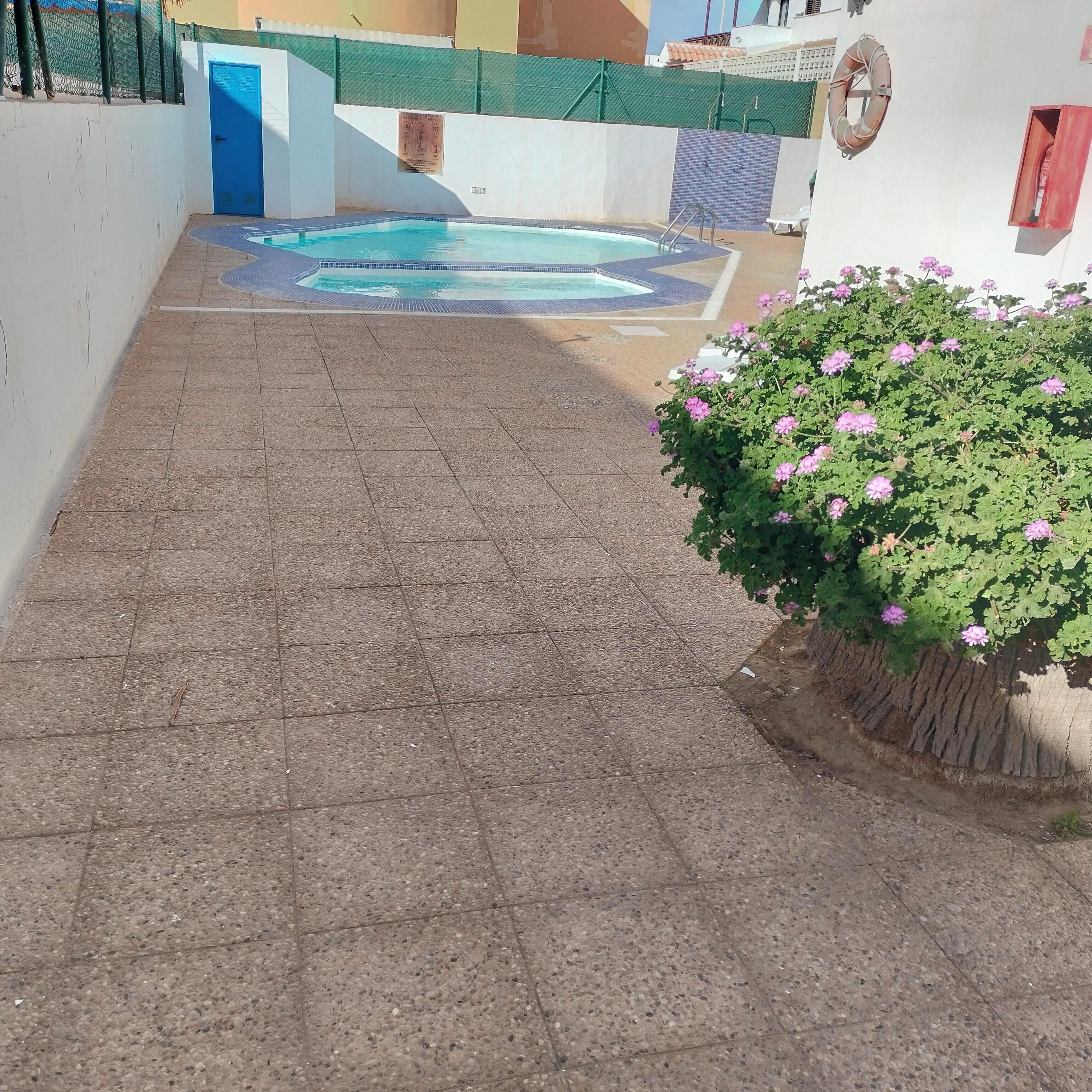A swimming pool with a tiled deck, a blue door, and a green fence.