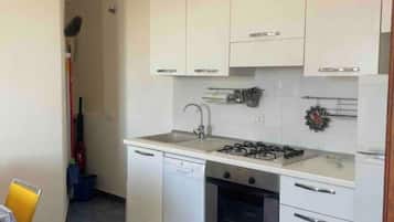 Fridge, stovetop, cookware/dishes/utensils