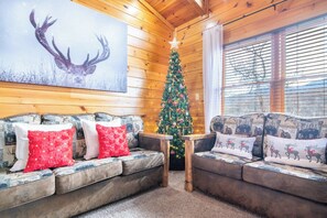 Télévision, cheminée, lecteur de DVD, baby-foot