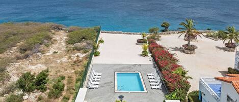 A rooftop pool with a view of the ocean, surrounded by palm trees and a stone wall.