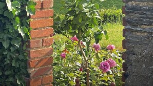 Un arco de ladrillo que da paso a un jardín con rosas y plantas en macetas.