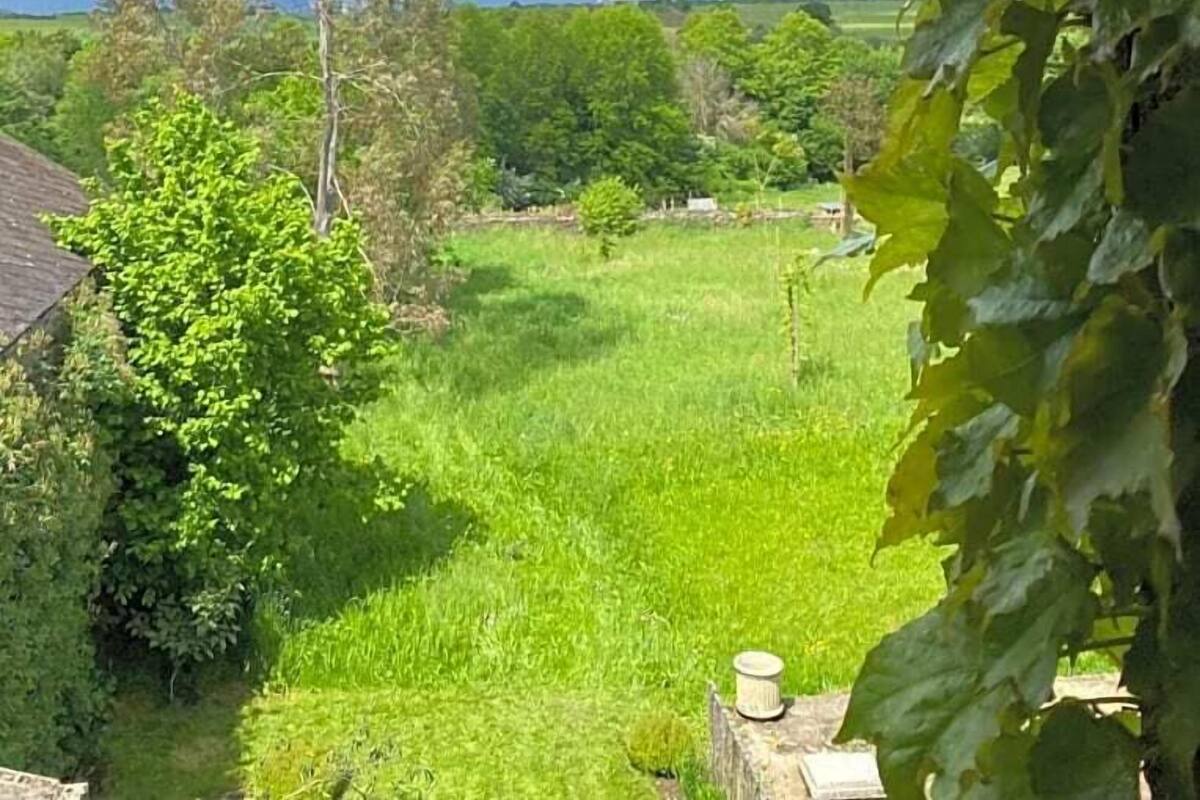Kamar Basic, pemandangan kebun | Wi-Fi gratis