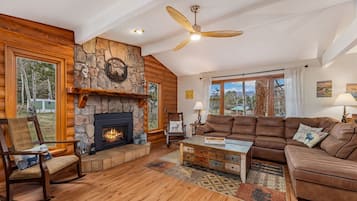 Télévision, cheminée, lecteur de DVD