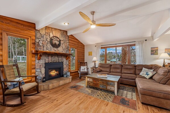 TV, fireplace, DVD player