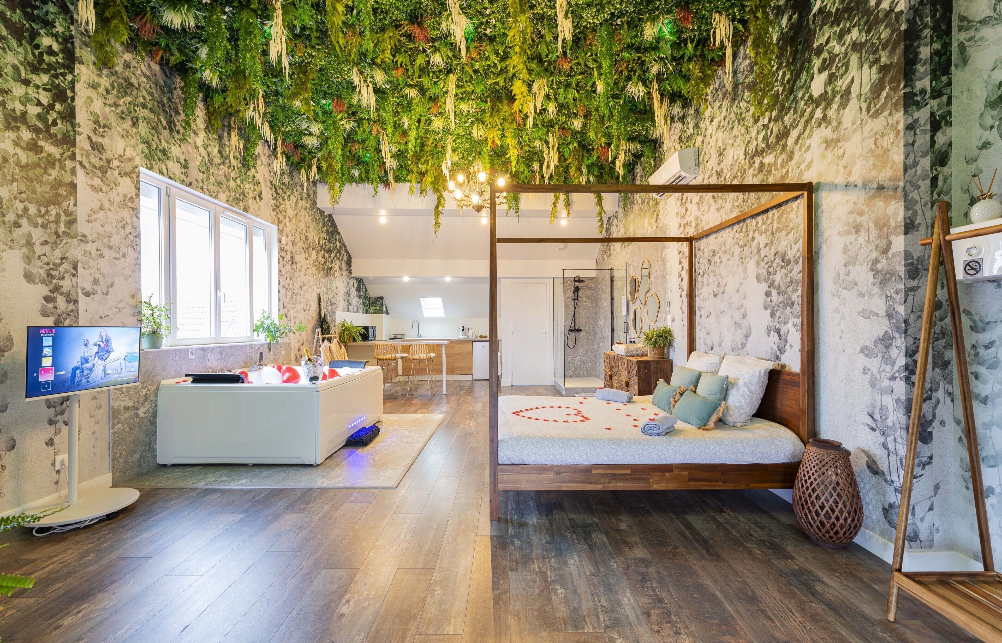 A room with a bed, a TV, a desk, and a wall with hanging plants.