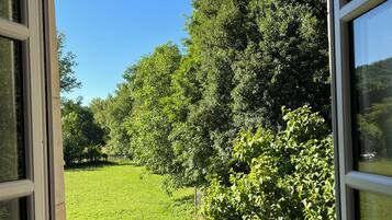 Land view from property