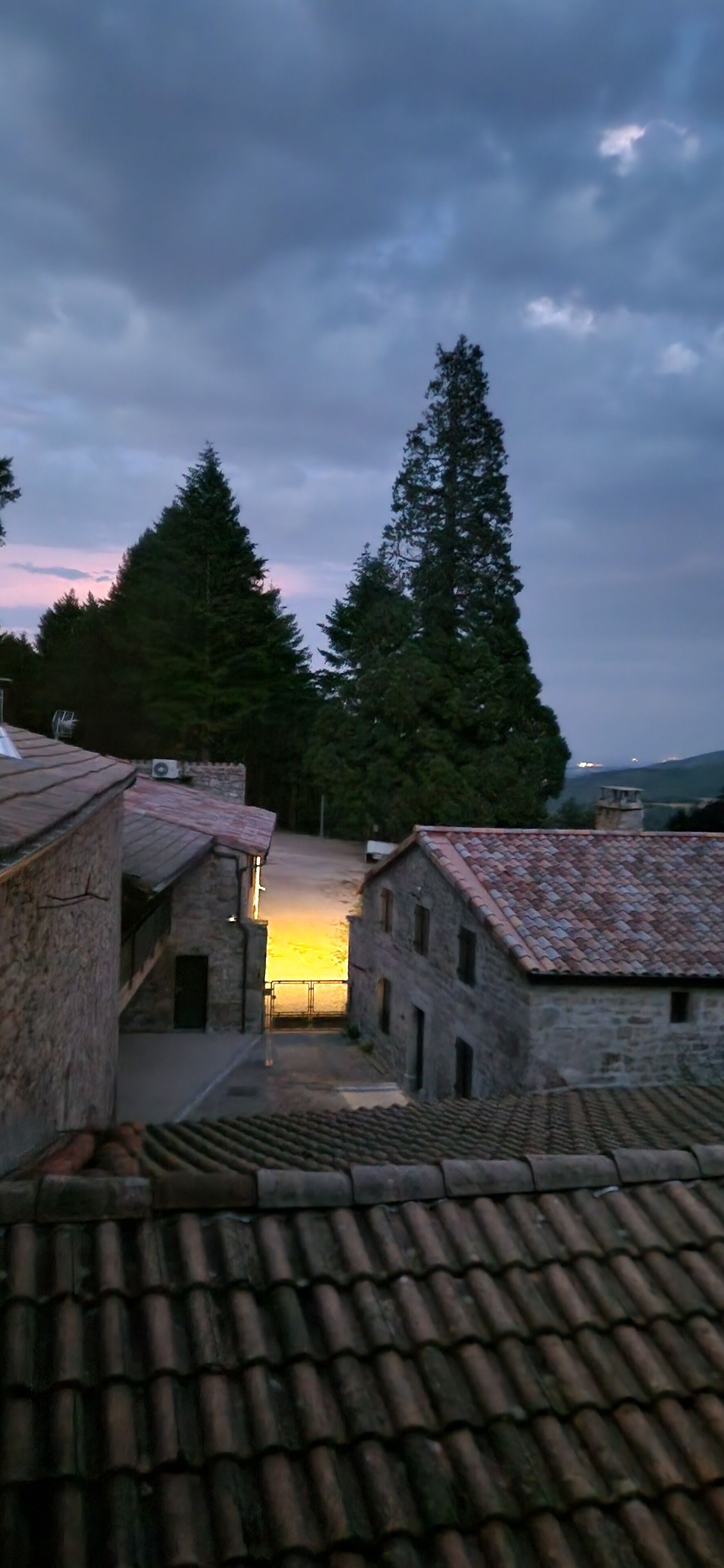 A narrow street with stone buildings, a tiled roof, and a tall evergreen tree.