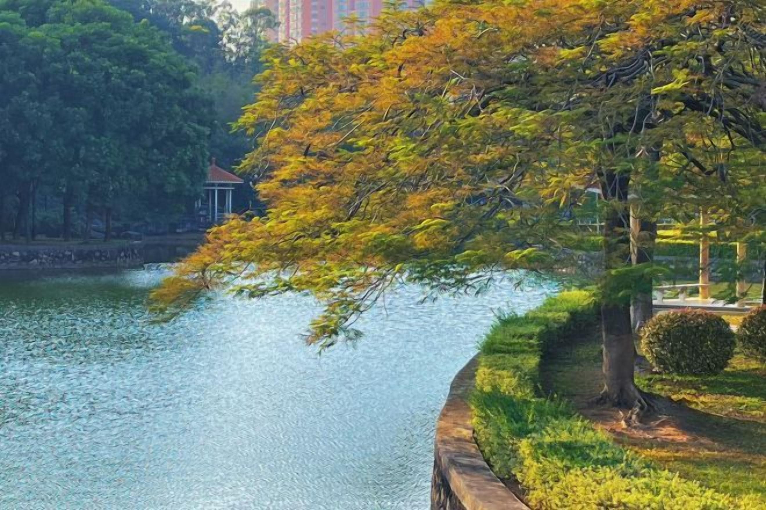 A calm lake with a tree-lined path and a small pavilion.