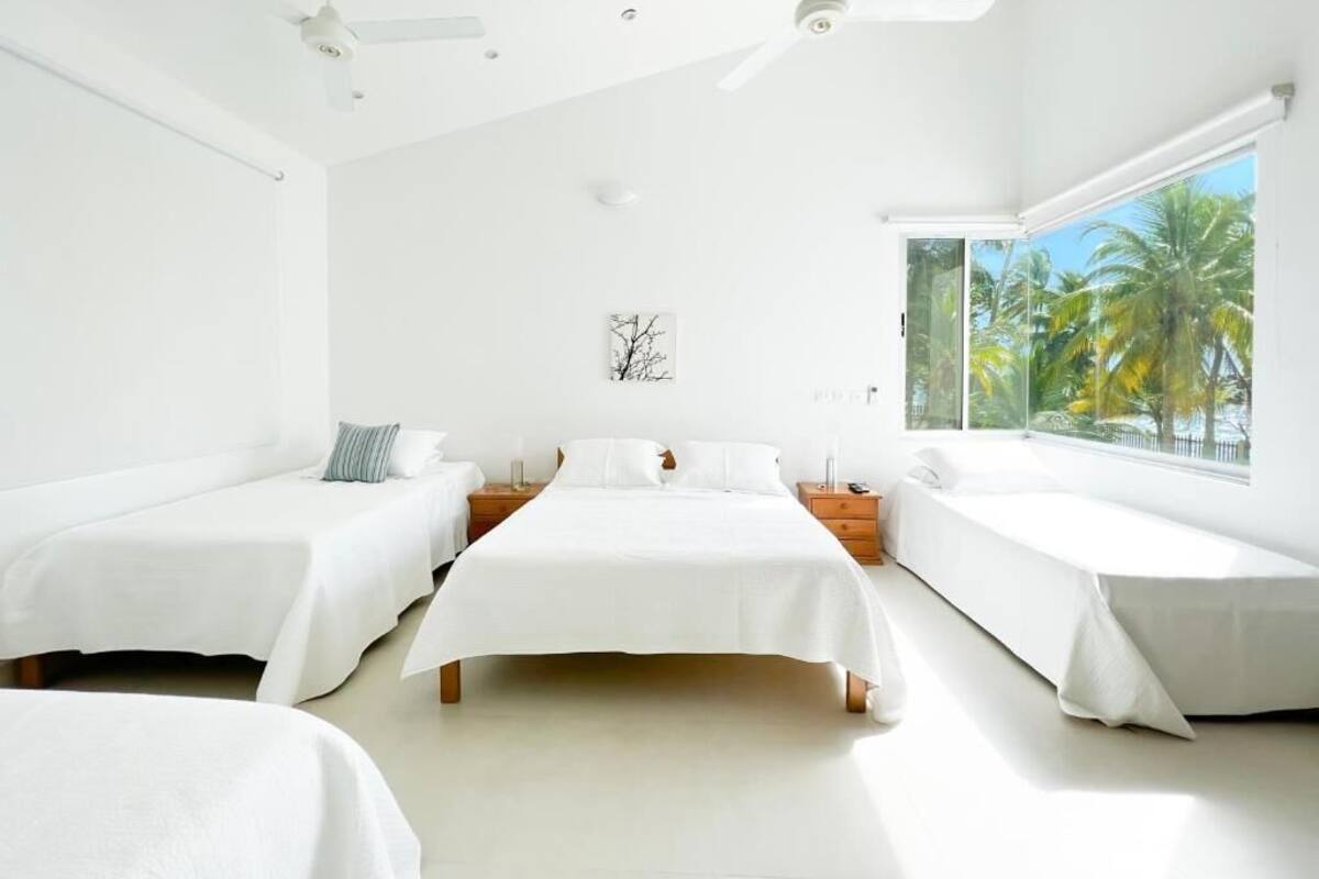 Un hotel luminoso y moderno con tres camas, ropa de cama blanca, ventiladores de techo y un ventanal con vistas a palmeras.