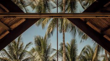 Deluxe Studio Suite, 1 King Bed, Non Smoking, Beachfront