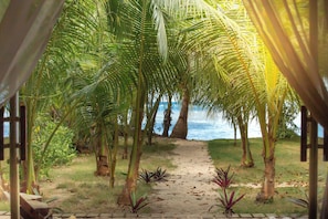 Family Studio Suite, Multiple Beds, Non Smoking, Sea View | Beach/ocean view