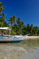 Un barco llamado "OCAM OCAM" atracado cerca de una playa con palmeras.