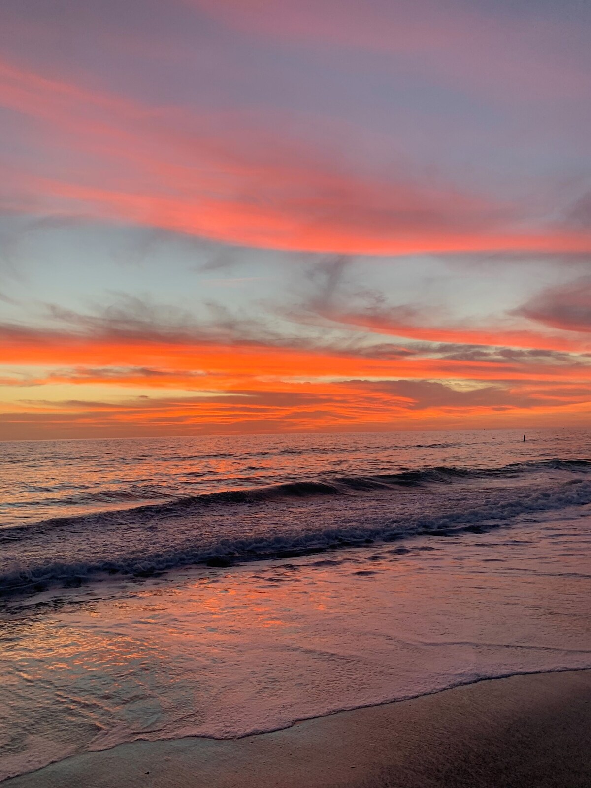 Foto de perfil del anfitrión