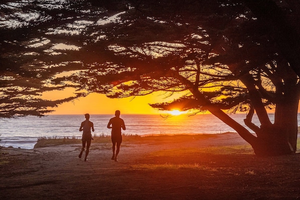 Guests can stroll along the beach under the shade of a large tree.