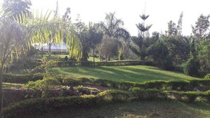 A well-maintained garden with various plants and trees, a neatly trimmed lawn, and a stone wall. - Rockwell Hotel (Kisumu)