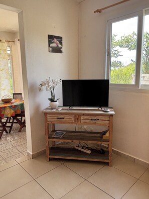 Smart TV