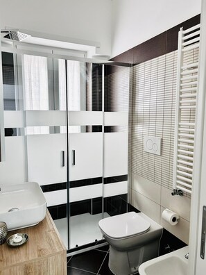 Shower, hair dryer, bidet, towels