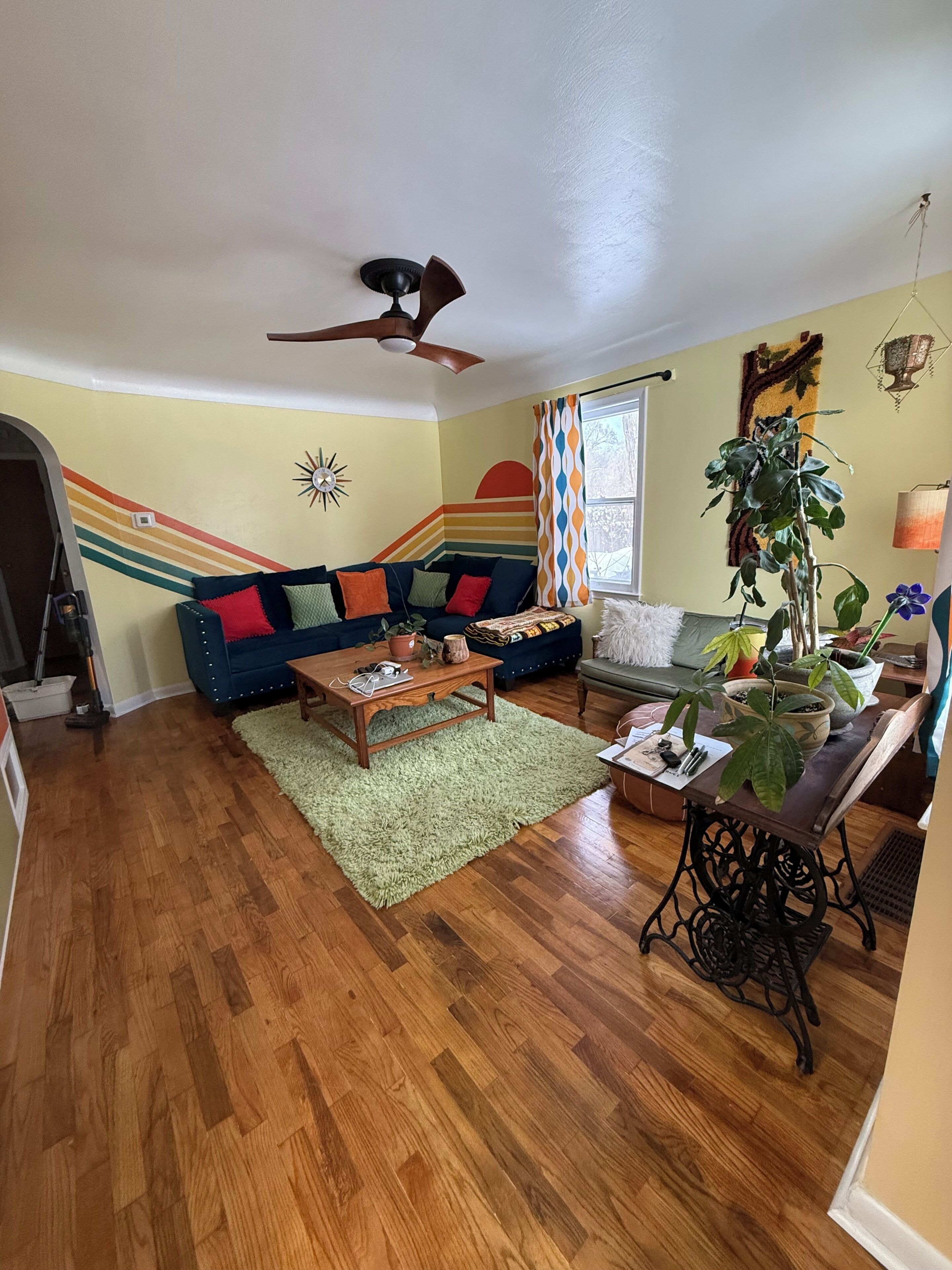 Smart TV, DVD player, books, video library