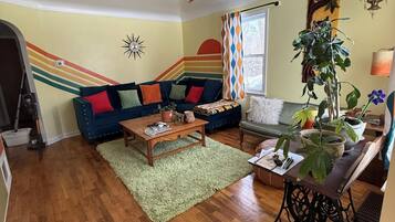 Smart TV, DVD player, books, video library