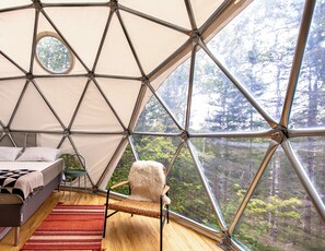 1 habitación 