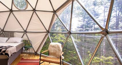 The Lena Dome
