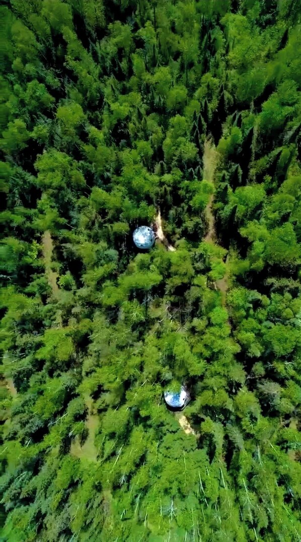 An aerial view of a dense forest with two spherical structures amidst the trees.