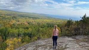 A person standing on a rocky outcrop overlooking a forested valley.
