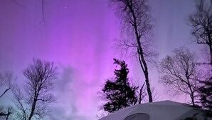 A tent with a circular window, surrounded by trees and a purple sky.