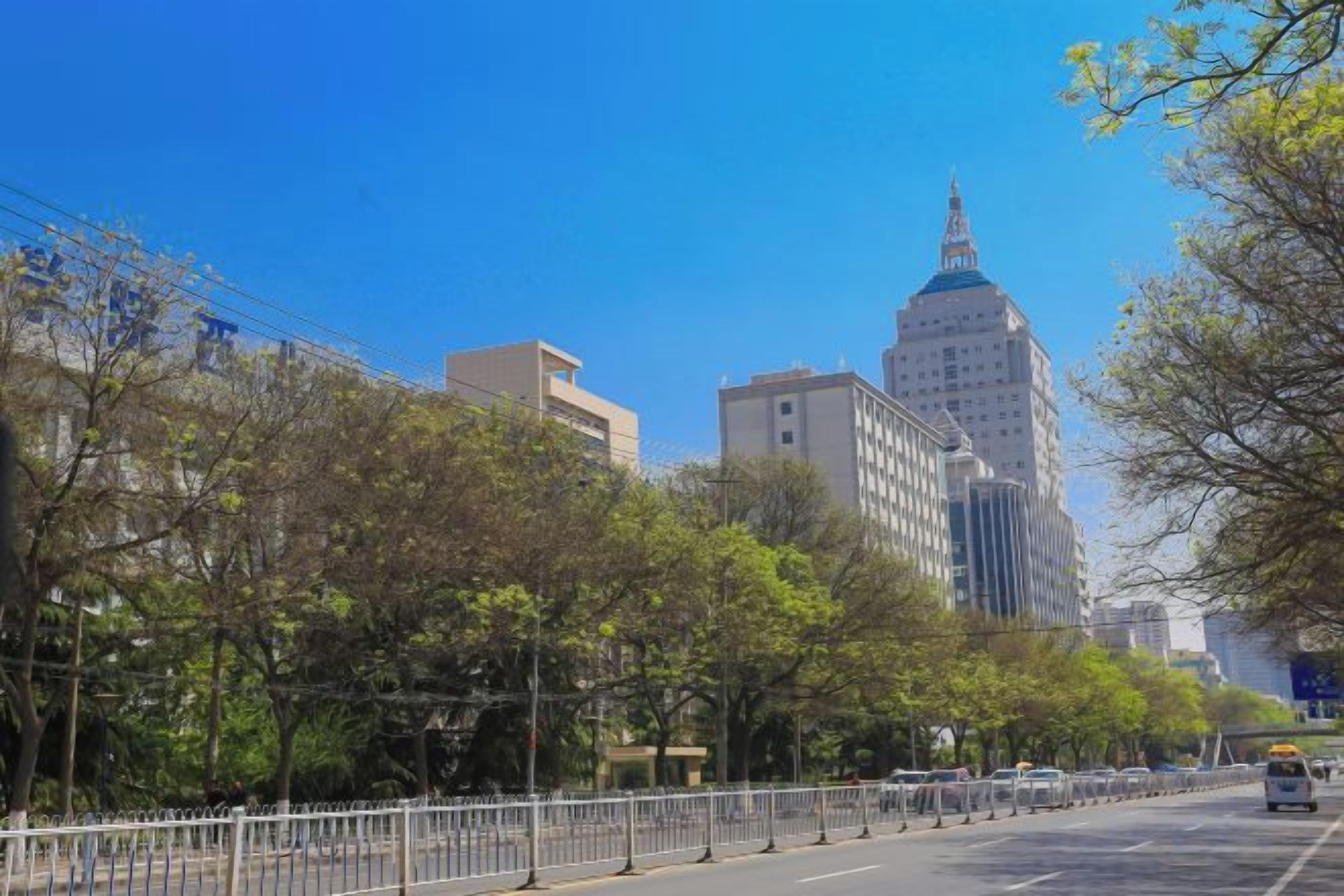 Una calle urbana con edificios, árboles y cielo despejado.