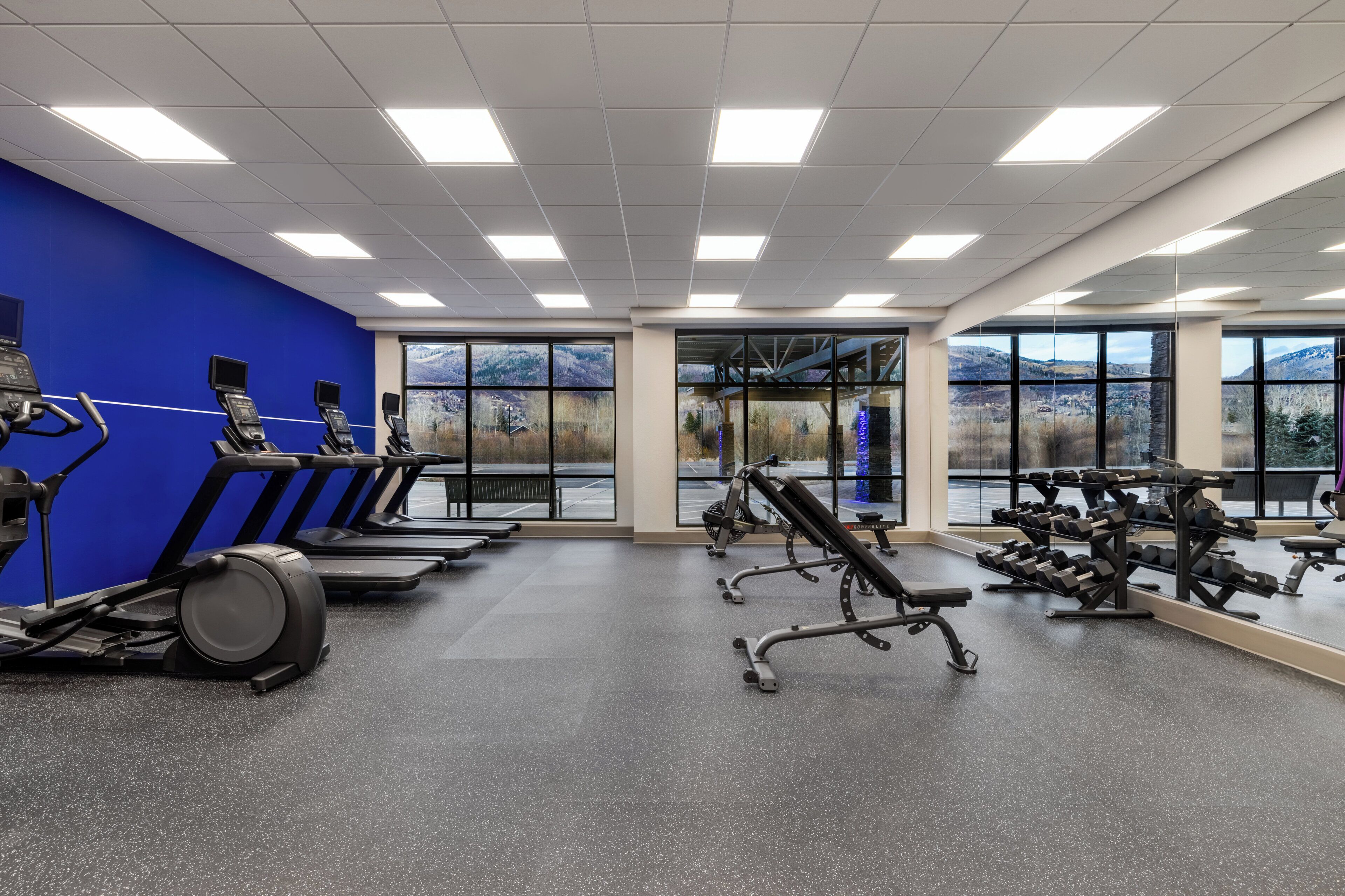 A gym with treadmills, weight benches, and dumbbells.