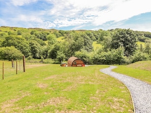 Property grounds - Briallen (Dolgellau)