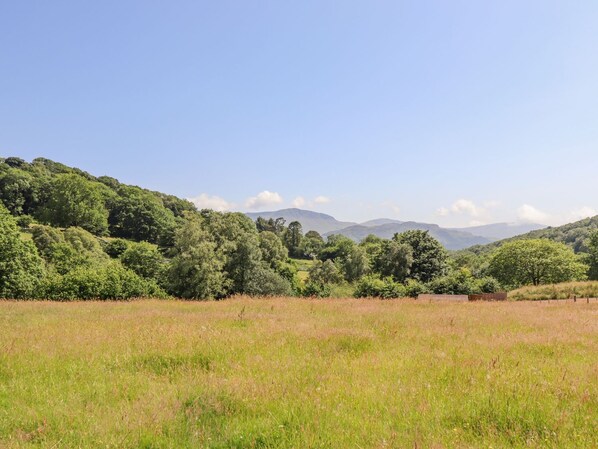 A grassy field with trees and hills in the background. - Eirlys (Dolgellau)