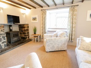 Living area - Dwynant (Dolgellau)